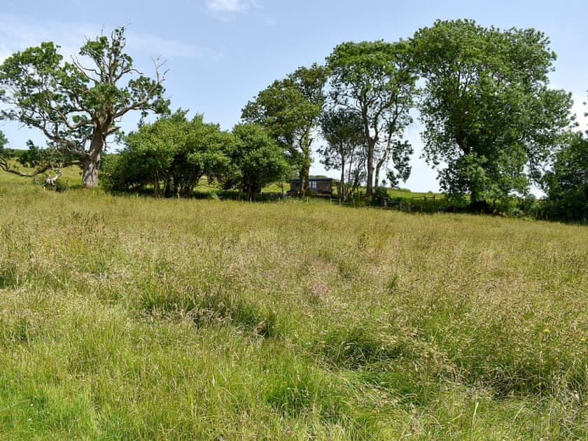 Surrounding area | Herdwick - Tilbury Farm, West Bagborough, near Taunton