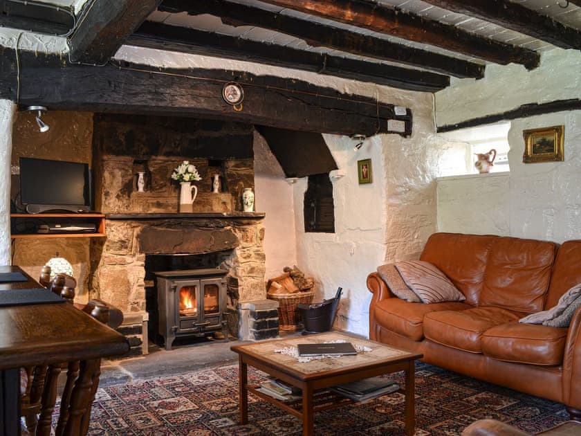 Cosy living room | Ceunant, Dinas Mawddwy, near Dolgellau