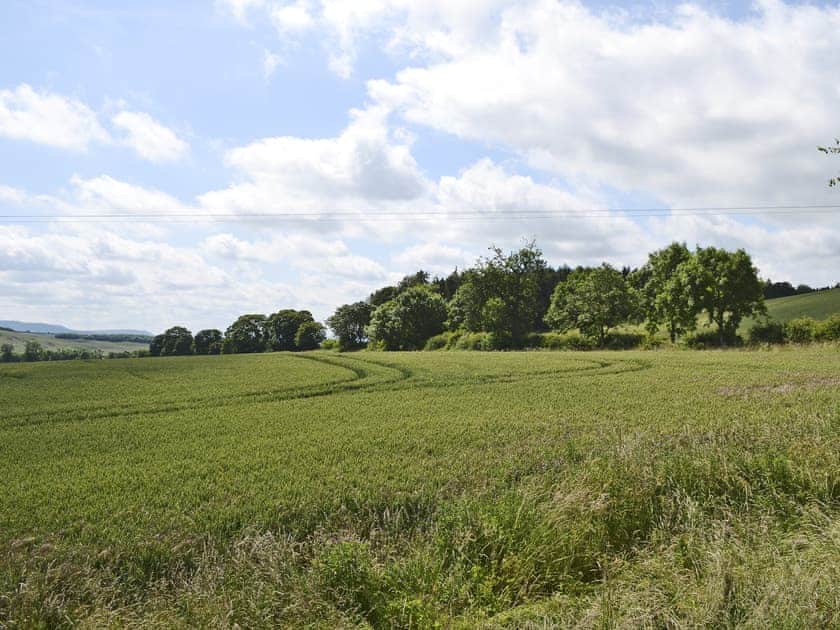 View | Aidan Cottage, near Chatton, Wooler and Alnwick
