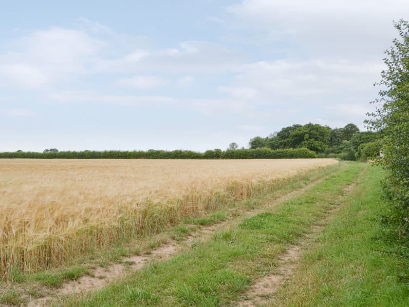 Rural surrounding area | Iris Apartment, Daisy Apartment - Chapelfield Apartments, Stalham