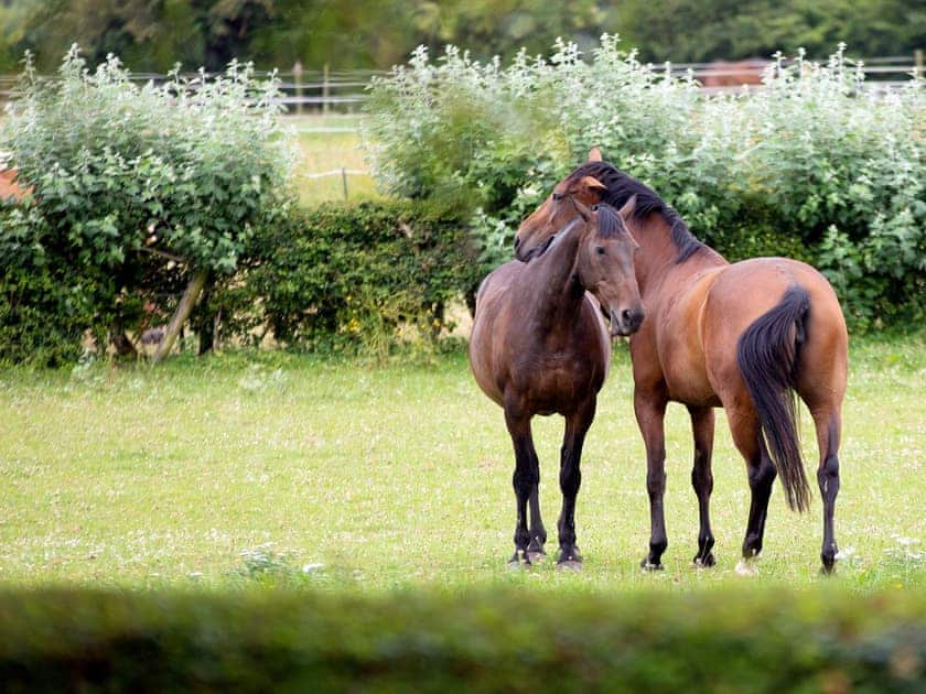 Set in the grounds of Luckington Stables | Luckington Stables, Newbury, near Frome