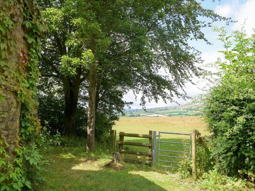 Enlcosed garden | Steep Holm - Hergest Ridge View, Kingswood, near Kington