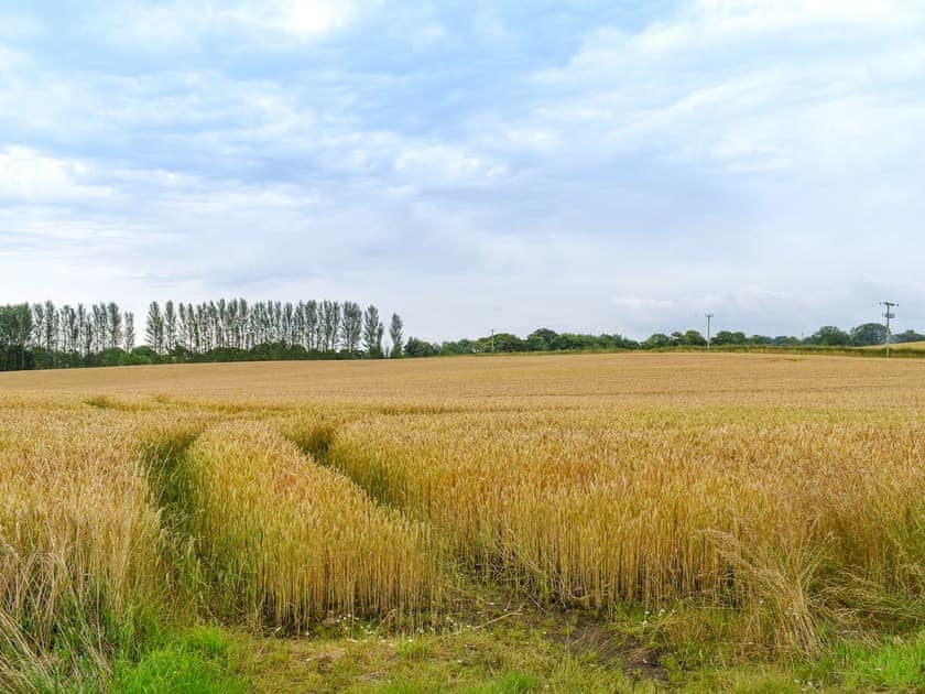 Surrounding area | The Cottage at Cauldcoats, Near Linlithgow