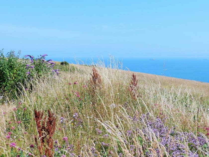 Lovely sea views | Coastguard Cottage, Sandown