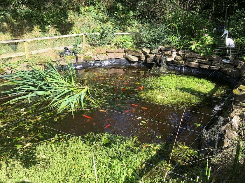 Pond in the garden | Porth Cottage, Crantock Cottage - Carnebo Farm, Goonhavern, near Newquay