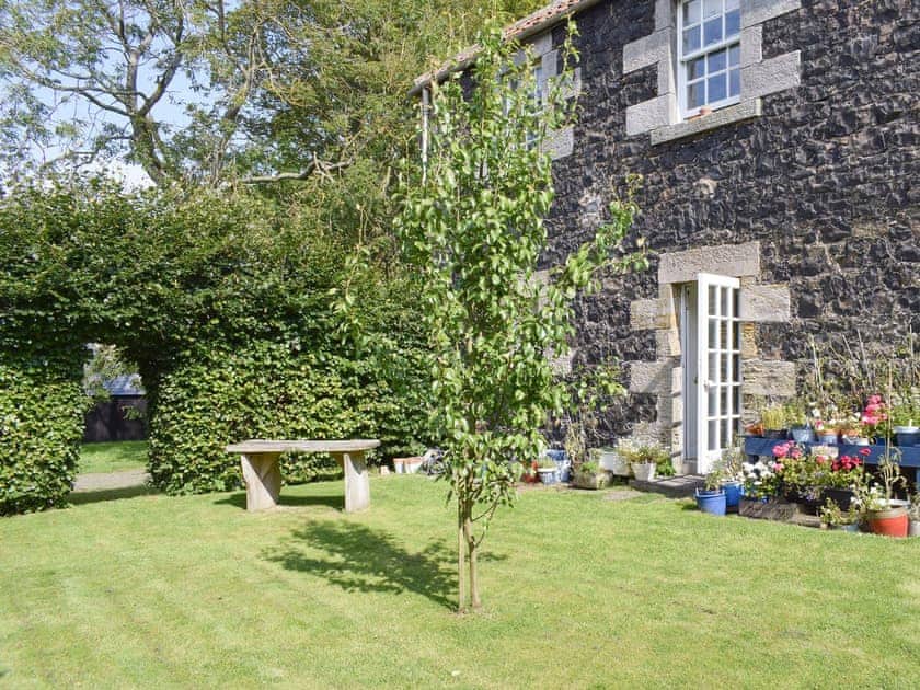 Lawned garden area | The Barracks @ East Neuk Orchards - Self Catering @ East Neuk Orchards, Pittenweem, near Anstruther