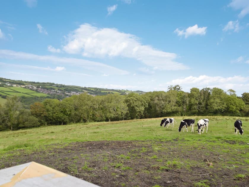 Surrounding area | Y Beudy Bach, Pontyberem, near Kidwelly