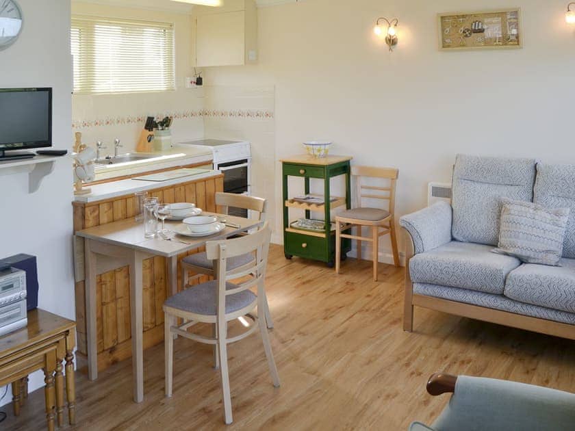 Well presented open plan living space | Silver Bream, Brundall, near Norwich