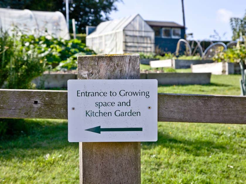 ’Pick your own’ fruit and vegetables available on-site | Greenwood Grange Cottages, Higher Bockhampton, near Dorchester