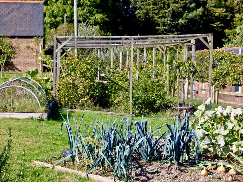 ’Pick your own’ fruit and vegetables available on-site | Greenwood Grange Cottages, Higher Bockhampton, near Dorchester