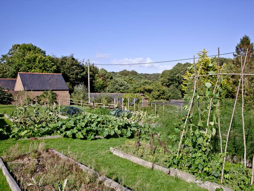’Pick your own’ fruit and vegetables available on-site | Greenwood Grange Cottages, Higher Bockhampton, near Dorchester