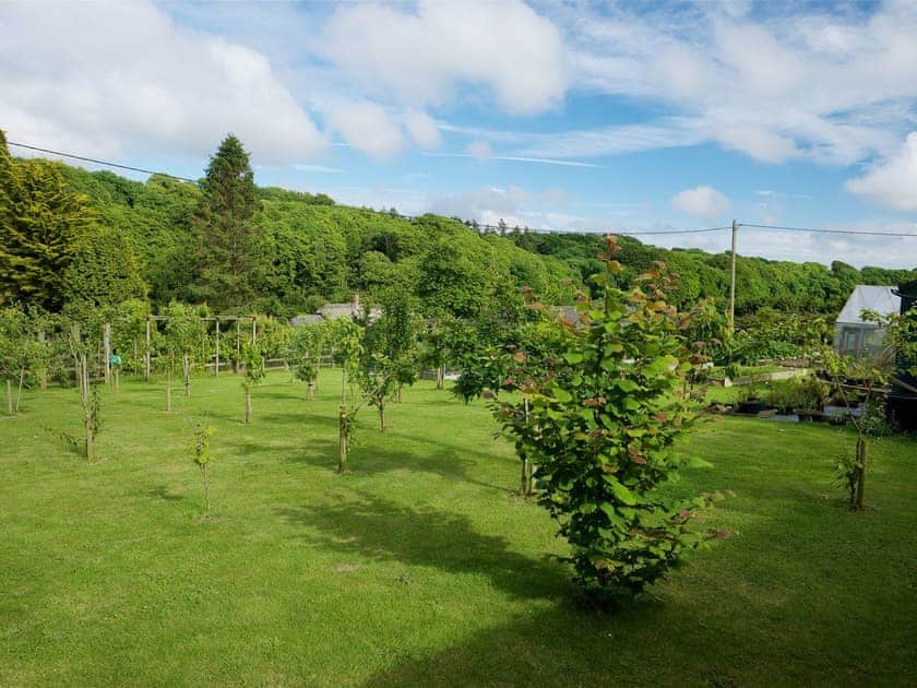 ’Pick your own’ fruit and vegetables available on-site | Greenwood Grange Cottages, Higher Bockhampton, near Dorchester