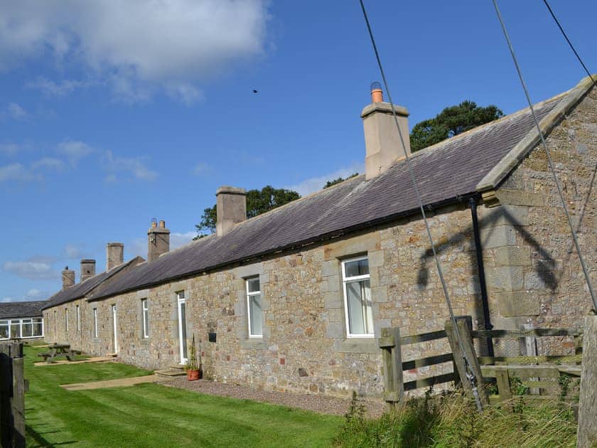 Grassed outdoor space with barbecue | Mains Cottage, Belford, near Bamburgh