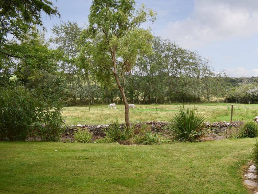 Garden and grounds | Mill Cottage, Aveton Gifford, near Kingsbridge