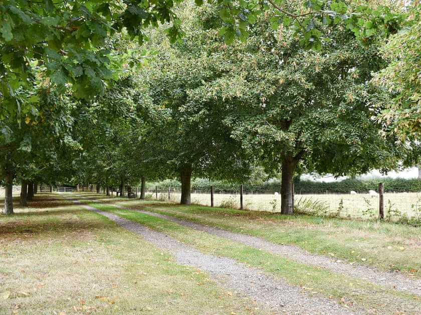 Tree-lined driveway | The Granary, Oxborough