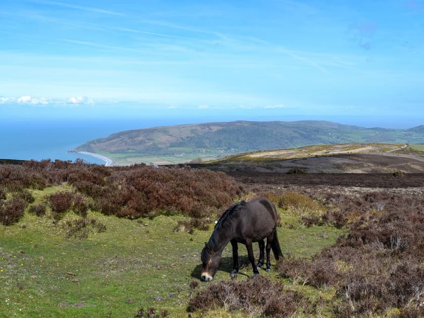 Exmoor | Newhaven, Combe Martin