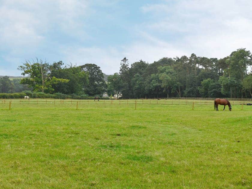 Equestrian facility | Grooms Bothy, Nenthorn, near Kelso