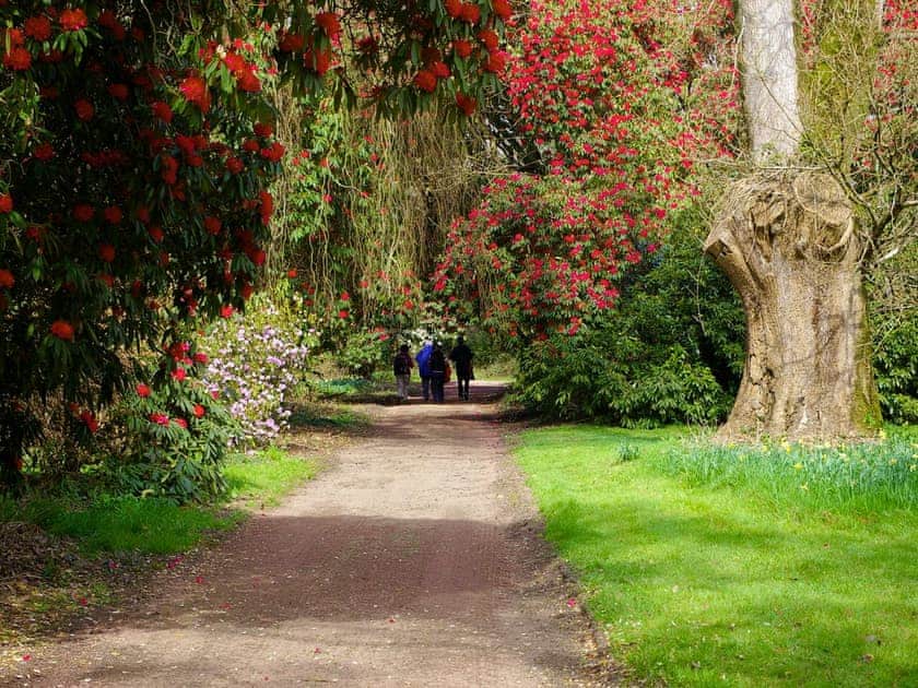 Main Gravel Walk | Orchard Cottage, Garlieston, near Newton Stewart