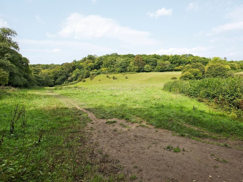 Beautiful surrounding countryside | Pleasant Maris, East Ogwell, near Newton Abbot