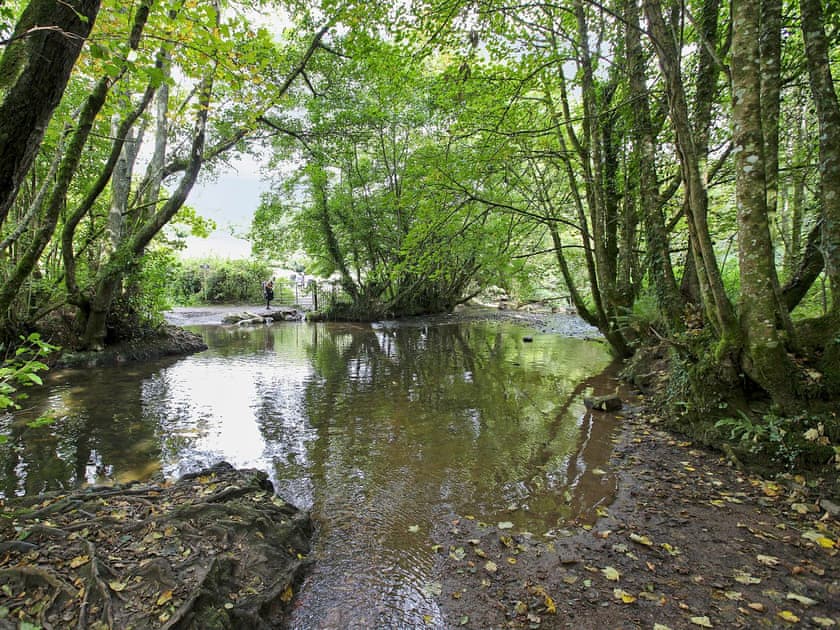 Scenic walks along the riverside | Pleasant Maris, East Ogwell, near Newton Abbot