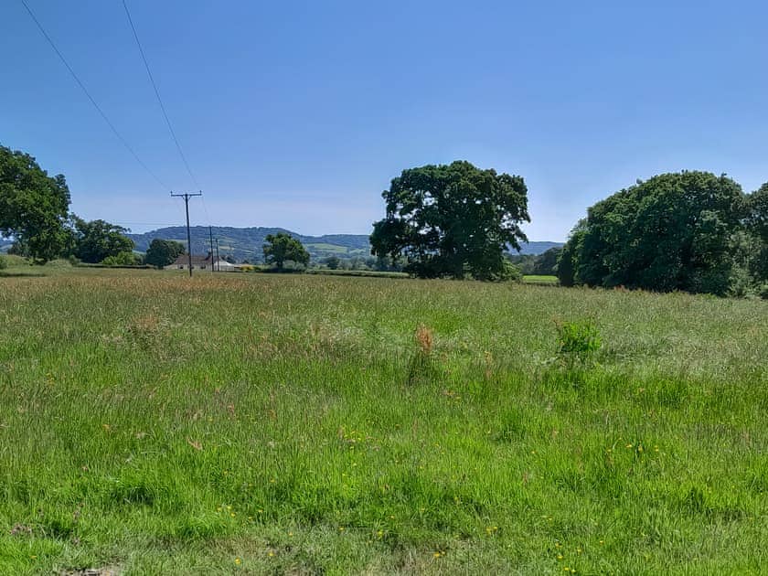 Lovely lawned garden with rural outlook | Cowdea 2, Bettiscombe
