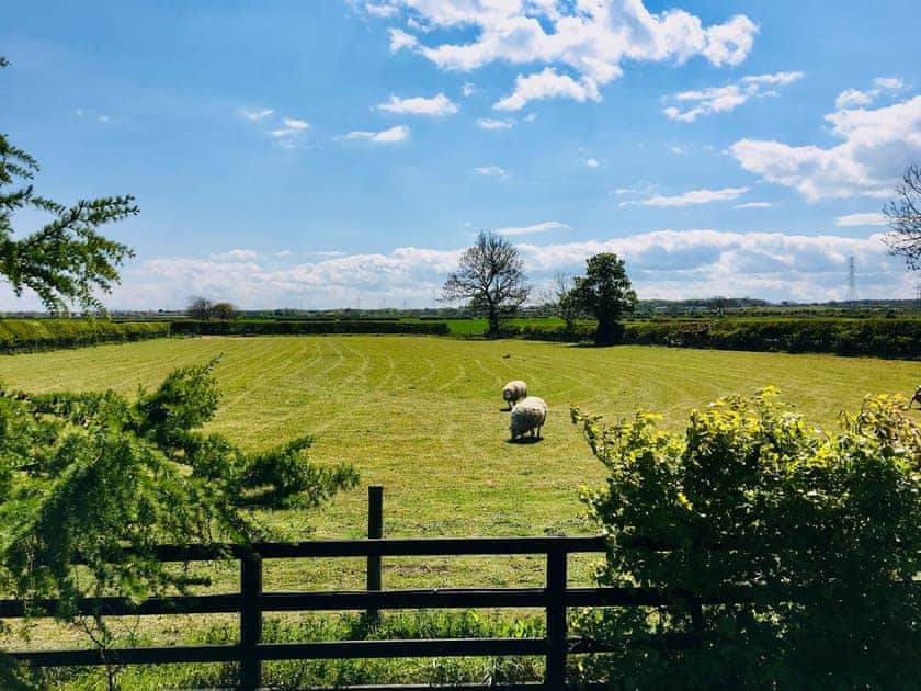Surrounding area | Westfield Farm Cottage, East Holywell, near Whitley Bay