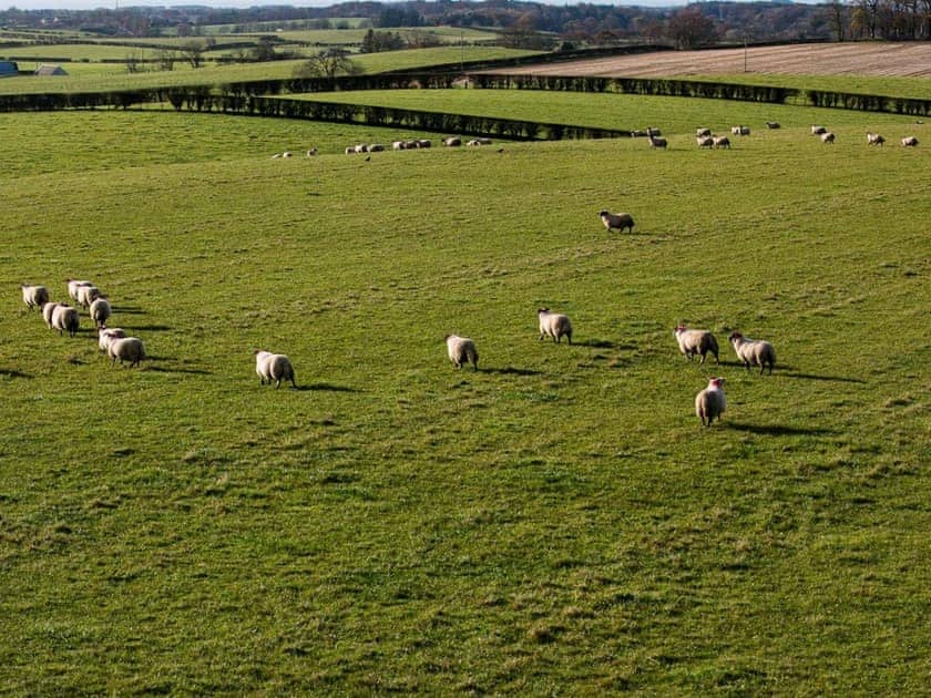 Fantastic views over the surrounding countryside | Wheatfield House, Kilmaurs, near Kilmarnock