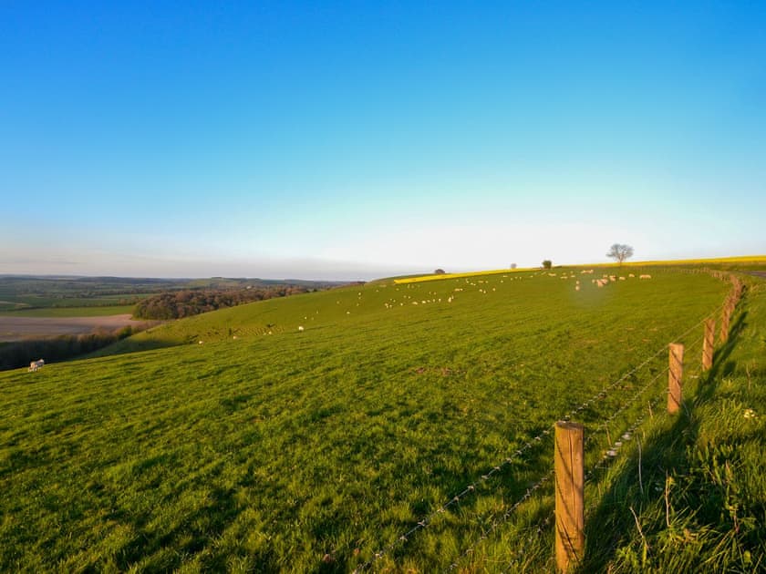 Beautiful rural surroundings | Yew Tree Cottage, Farnham, near Blandford Forum