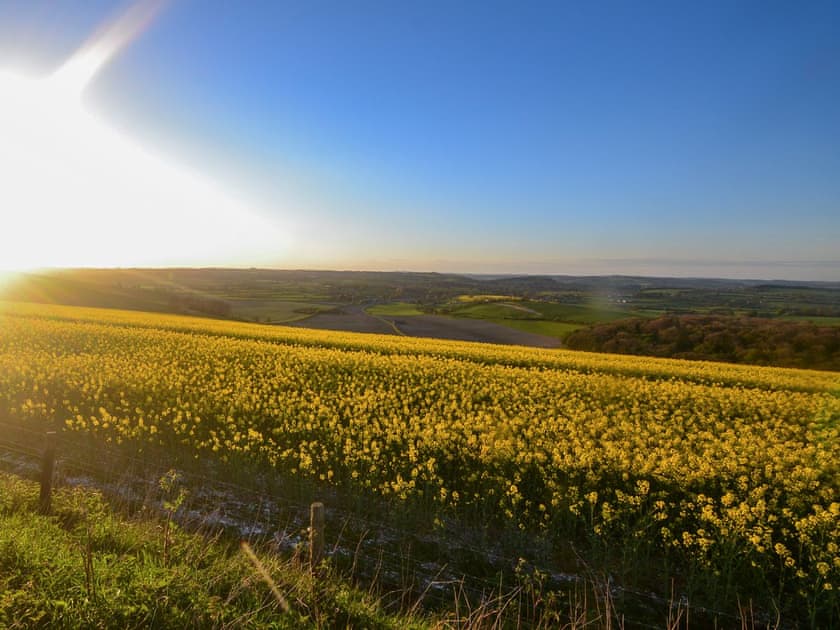 Beautiful rural surroundings | Yew Tree Cottage, Farnham, near Blandford Forum