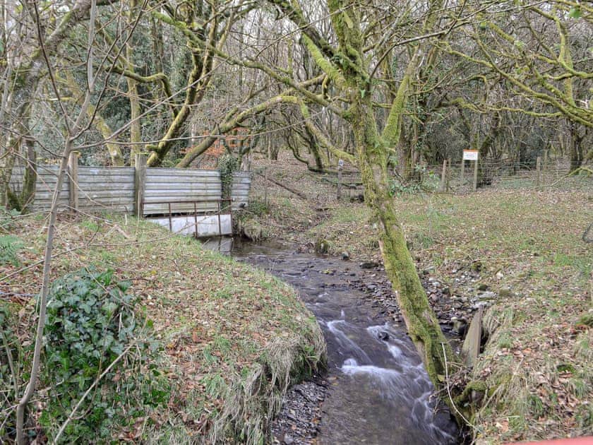Surrounding area | The Mill, Tregaron