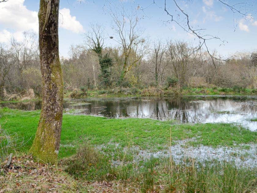 Surrounding area | The Mill, Tregaron