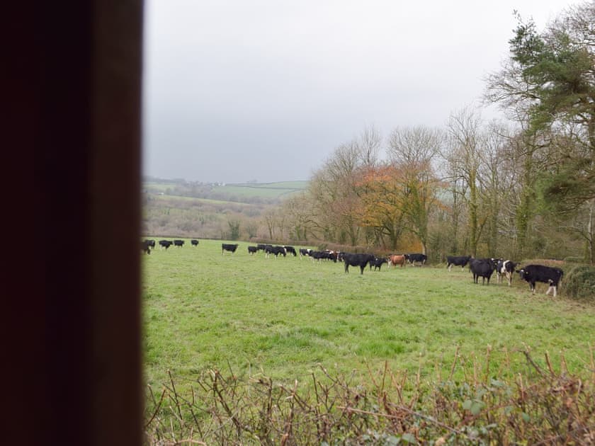 View | The Orchard - Morlogws Farm Holiday Cottages, Capel Iwan, near Newcastle Emlyn