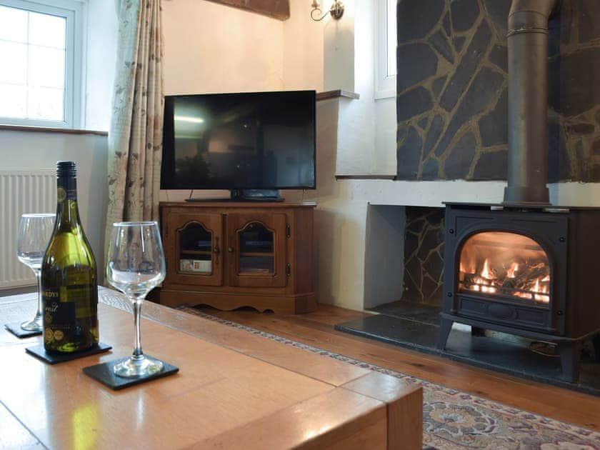 Living area | The Carthouse - Morlogws Farm Holiday Cottages, Capel Iwan, near Newcastle Emlyn