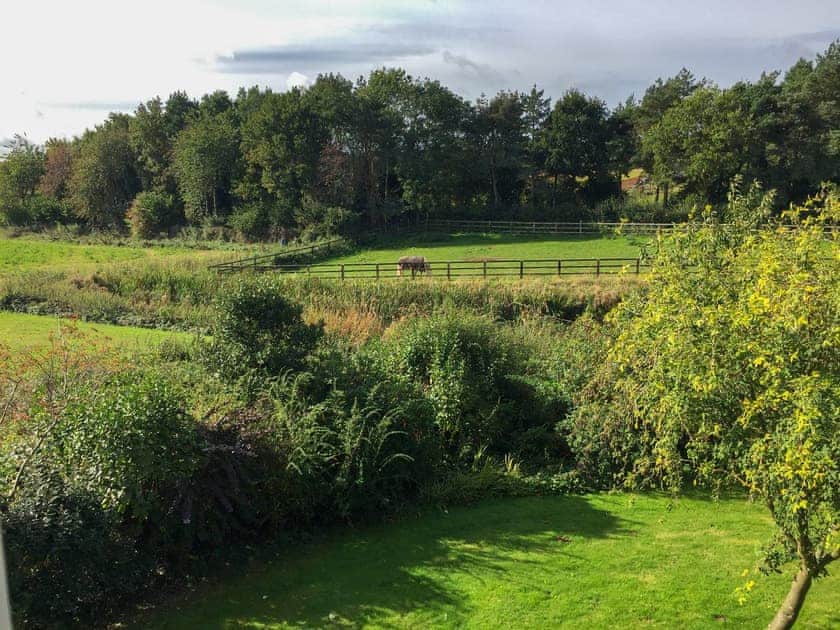 Lovely views of the surrounding countryside | Orchard House, Hempstead, near Holt