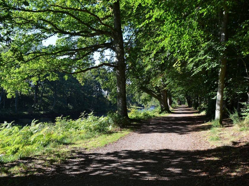 Lady Marys Walk Crieff | The Hoolit, Crieff