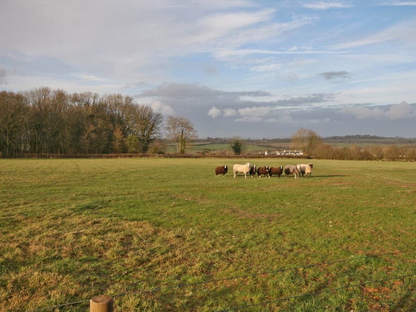 View | May Tree Cottage, Llysworney, Vale of Glamorgan
