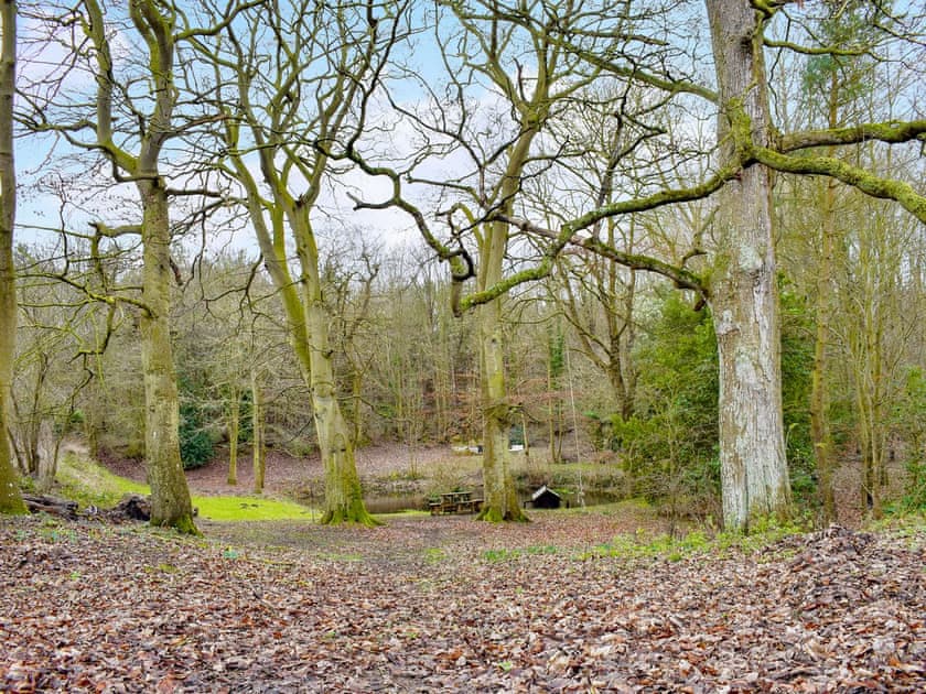 Garden and grounds | Treeview Lodge, Uggeshall
