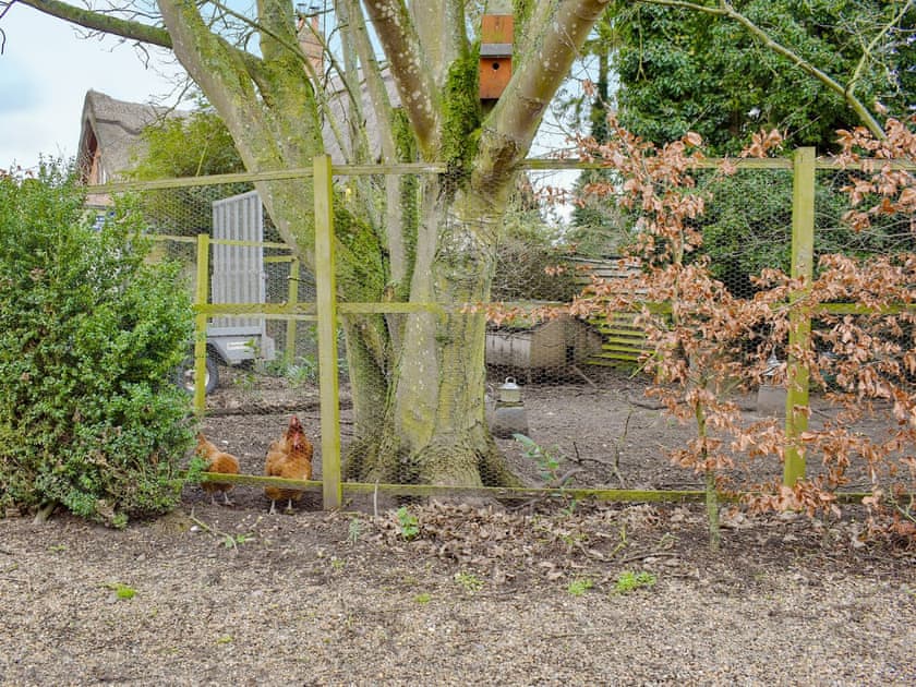 Garden and grounds | Treeview Lodge, Uggeshall