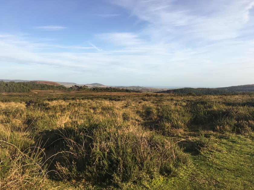 Woodbury Common