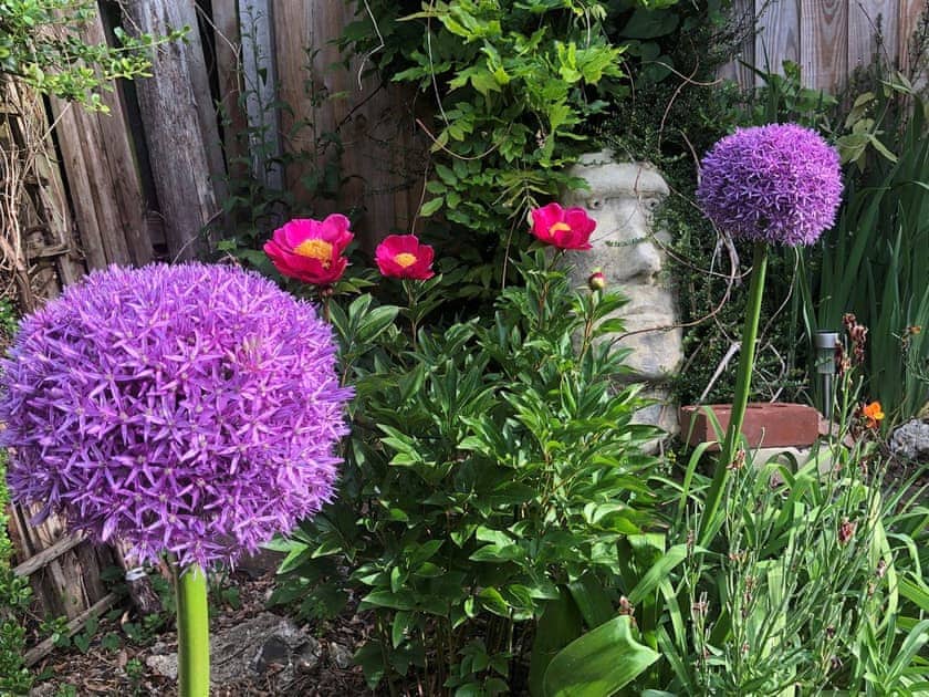 Garden | Brushmaker Cottage, Diss