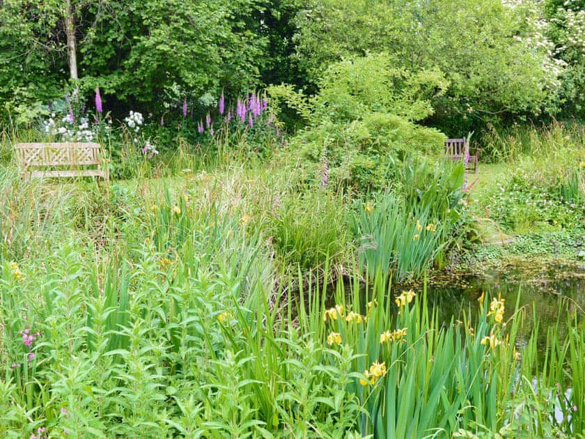 Pond area in shares grounds  | Clouseau Cottage - Coppers Cottages, Lyme Regis