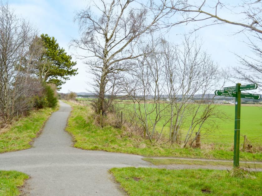 Surrounding area | March Brown, Garmouth, near Elgin