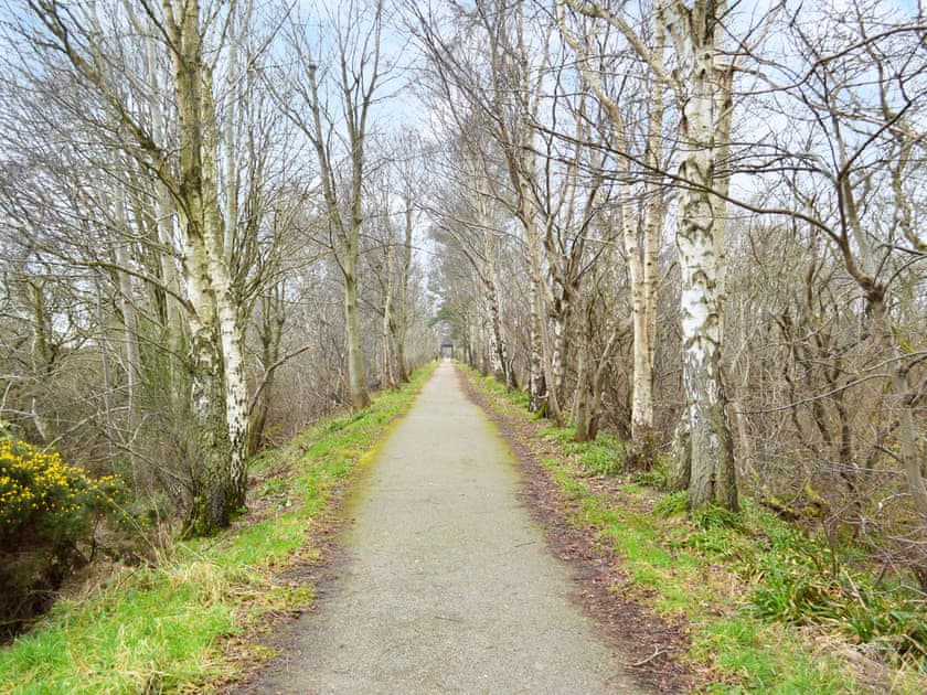 Surrounding area | March Brown, Garmouth, near Elgin
