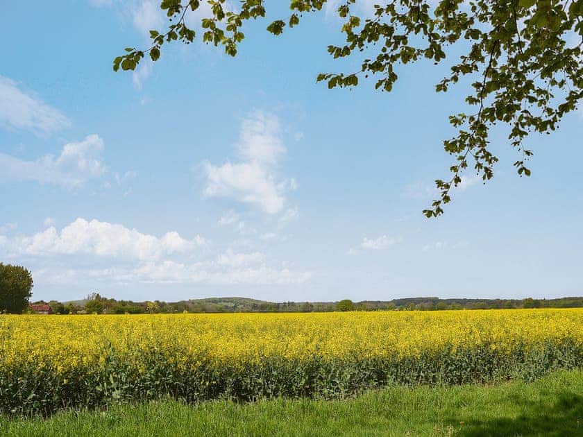 Surrounding area | Goodwood Coach House, Chichester