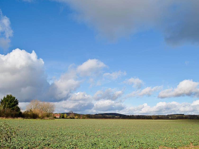 Surrounding area | Goodwood Coach House, Chichester