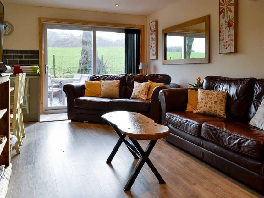 Comfortable living area | Woodview - Cairnyard Holiday Lodges, Lochanhead, Beeswing