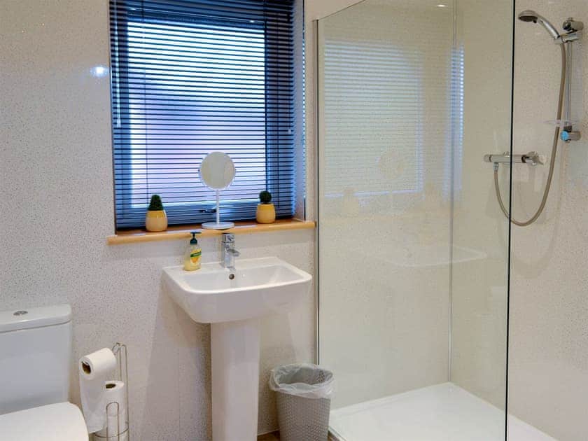 Shower room | Woodview - Cairnyard Holiday Lodges, Lochanhead, Beeswing