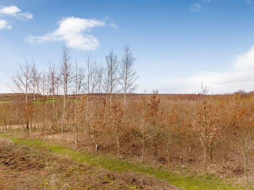 Peaceful rural surroundings | Olive Lodge, Melbourne, near Derby