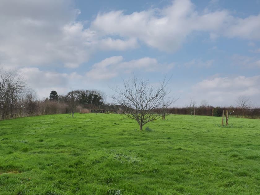 Garden | Ilsington View, Ilsington