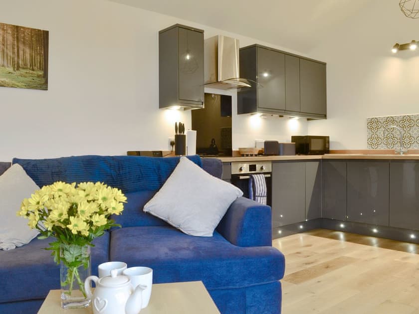 Well presented open plan living space | Fig Tree Cottage, Pancrasweek, near Bude